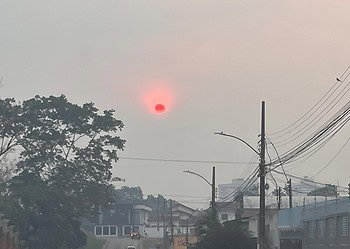 Foto: Iryá Rodrigues