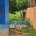 Urgente: homem é executado a tiros no bairro Taquari