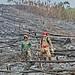 Foto: Corpo de Bombeiros