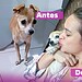 Foto: Assessoria