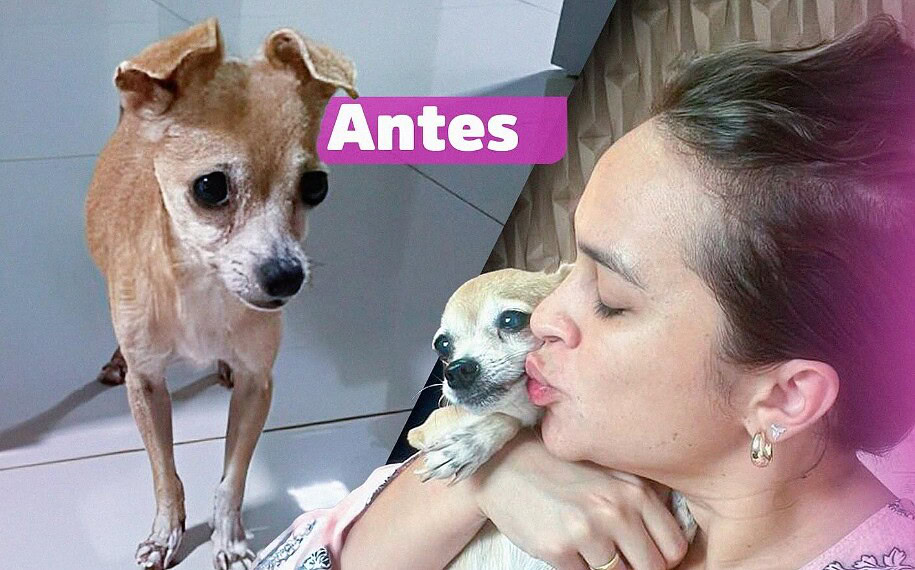 Foto: Assessoria