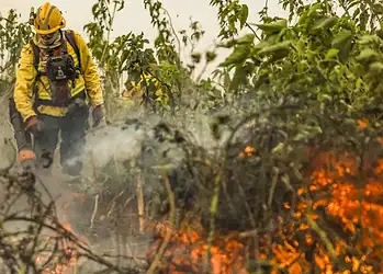 Foto: Marcelo Camargo/Agência Brasil
