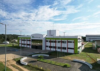 Foto: IFAC