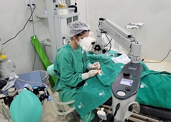 Foto: Andriny Silva/Fundhacre