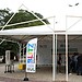 Foto: David Carvalho
