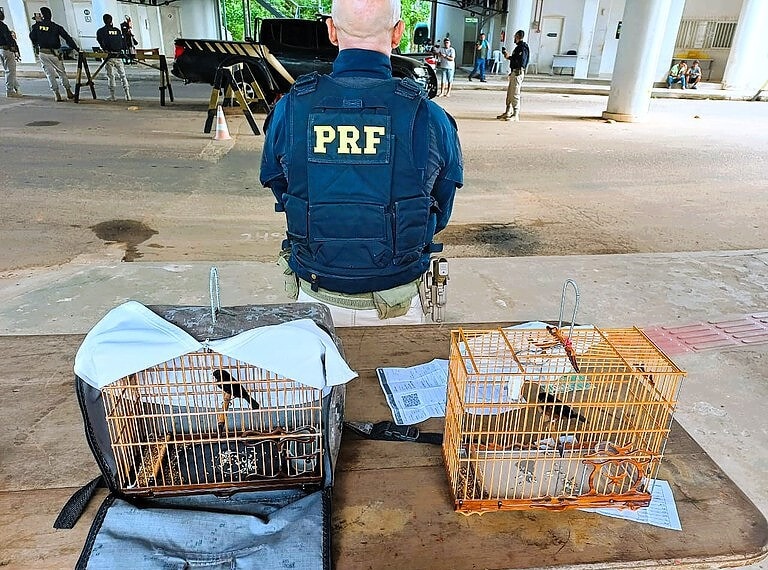 Foto: Arquivo/PRF