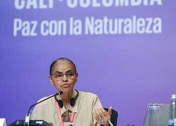 Foto: Felipe Werneck/MMA