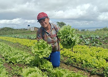 Foto: Emater/Arquivo