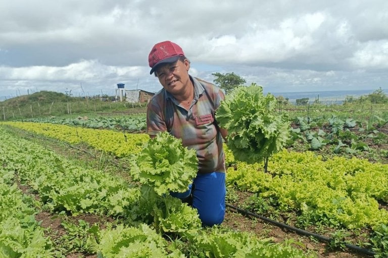 Foto: Emater/Arquivo