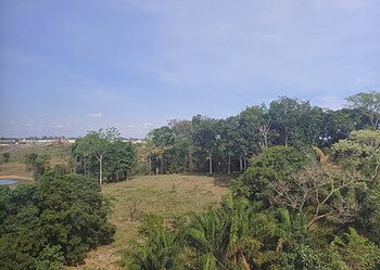 Foto: Bruna Gouveia