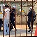 Blitz do BPTRANS na Sobral termina com tio e sobrinho detidos por desacato e desobediência em Rio Branco