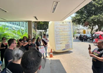 Servidores do INSS no Acre participaram de protesto em Brasília. Foto: Arquivo pessoal