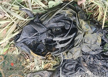 Foto: Arquivo pessoal