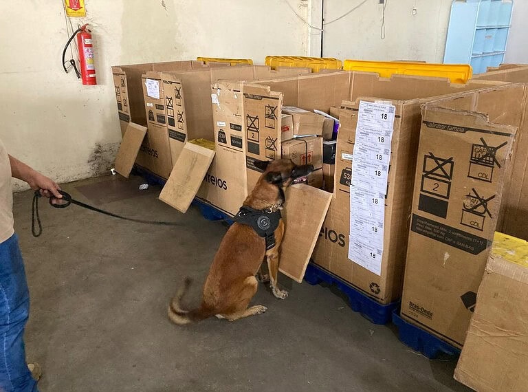 No último plantão antes da aposentadoria, cão da PF encontra drogas em agência dos Correios em Rio Branco