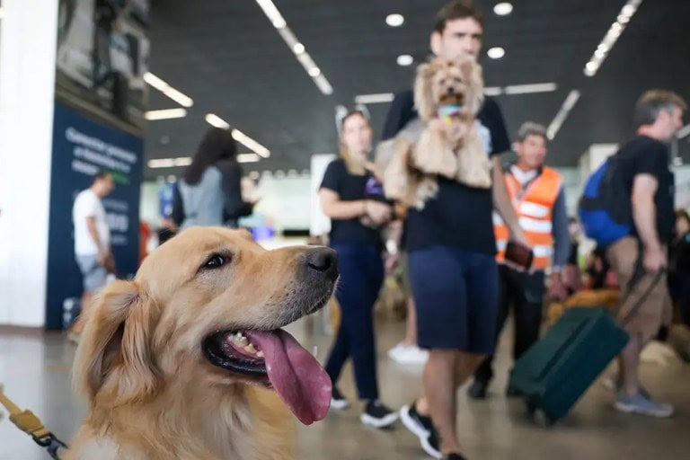 Foto: Agência Gov