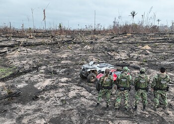 PF prende dois por desmatamento e incêndio em quase mil hectares de terra pública federal no Acre