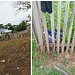 Equipe da Polícia Civil realiza perícia e coleta de evidências no local onde o corpo foi encontrado em Sena Madureira. Fotos: cedidas.