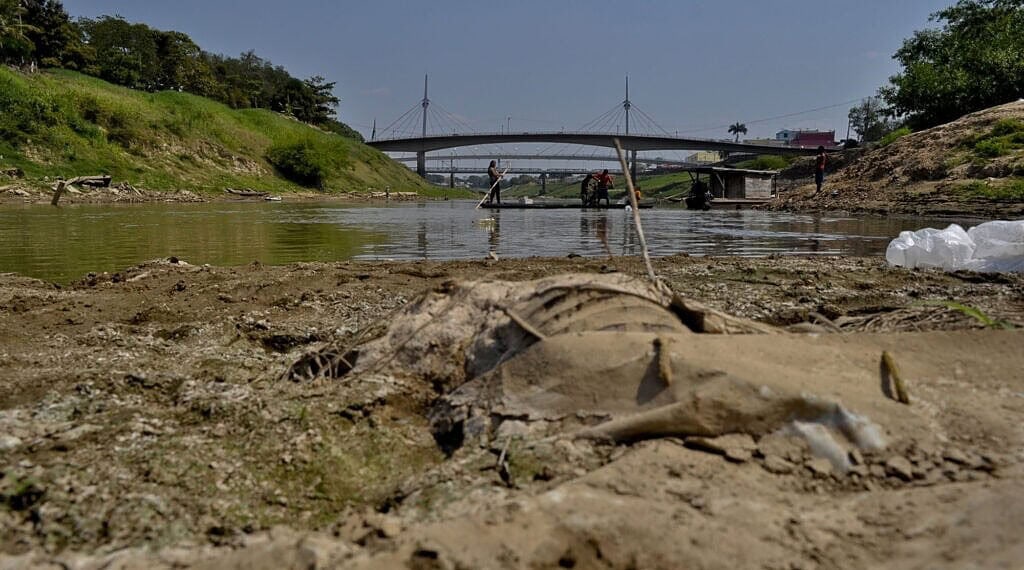 Extremos climáticos e baixa concentração de oxigênio são apontados como principais causas da mortandade. Foto: Odair Leal/Sesacre