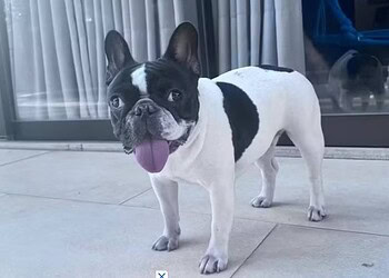 Foto: Arquivo pessoal