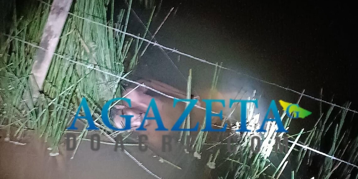 Homem morre vítima de afogamento na Vila Caquetá