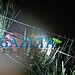 Homem morre vítima de afogamento na Vila Caquetá