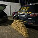 Foto: Arquivo/PRF