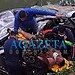 Carro despenca de ponte e deixa motorista ferido em acidente grave na ponte do Rio São Francisco