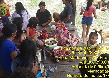 Por medo, indígenas estão todos juntos. Foto: cedida