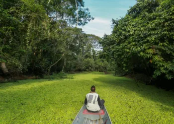 Rio Croa, em Cruzeiro do Sul. Foto: Arquivo Secom