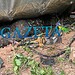 Sargento do Exército morre esmagado por caminhão após grave acidente na BR-364