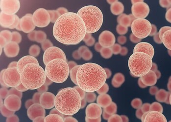 Foto: iStock/Jezperklauzen