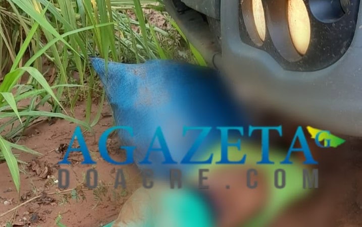 Trabalhador tem cabeça esmagada por carreta durante manobra em ramal no interior do Acre
