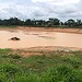 Seca severa atinge mananciais de abastecimento em vários municípios. Foto: cedida