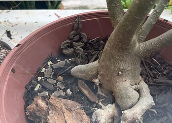 Foto: Arquivo pessoal