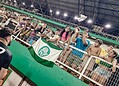 Com MC Daniel e lendas do esporte, jogo solidário arrecada 8 toneladas de alimentos