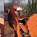 Reprodução - G1