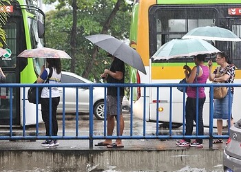Foto: Priscilla Melo/Diario de Pernambuco