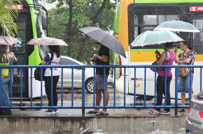 Foto: Priscilla Melo/Diario de Pernambuco