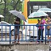 Foto: Priscilla Melo/Diario de Pernambuco