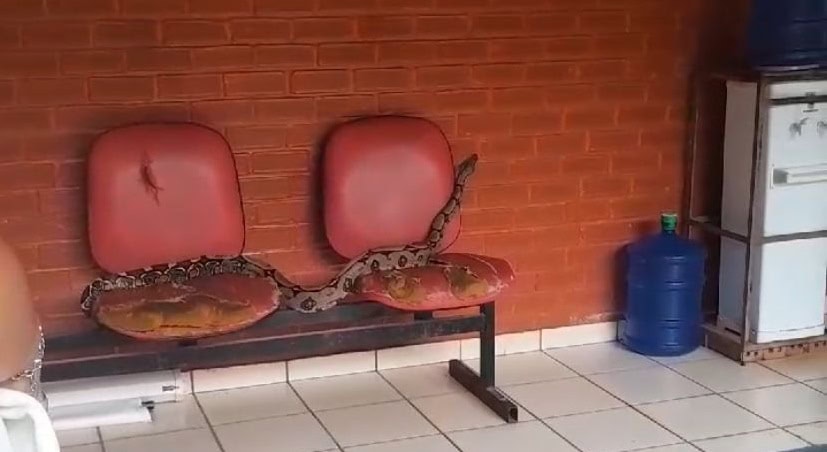 Foto: Reprodução/Redes Sociais