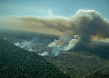 Foto: Christian Braga/Greenpeace/Arquivo