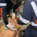 Dor no peito e falta de ar: saiba o que fazer diante de um infarto fulminante 8 Atendimento rápido reduz danos causados pelo infarto e AVC. Foto: cedida