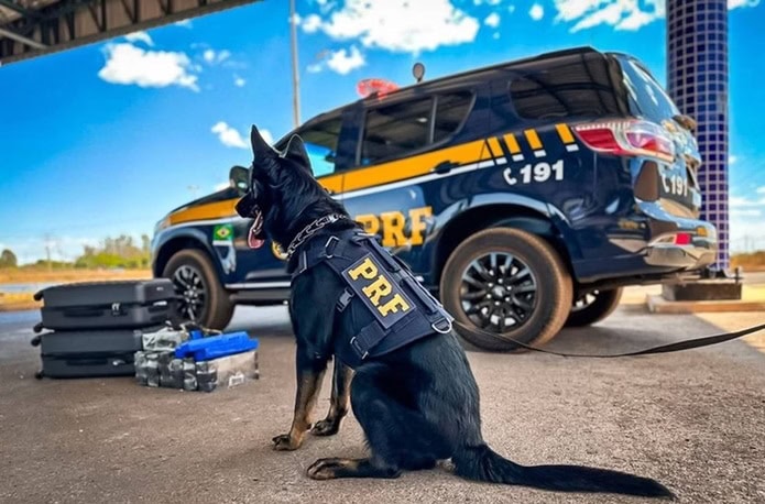 Foto: PRF/Reprodução