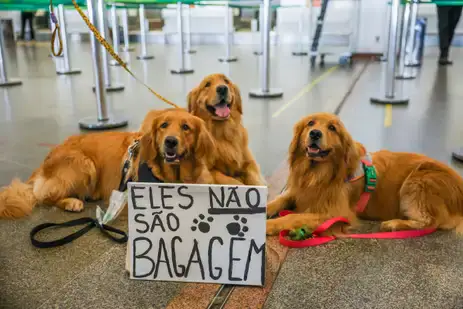 Foto: Fabio Rodrigues-Pozzebom/ Agência Brasil