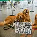 Foto: Fabio Rodrigues-Pozzebom/ Agência Brasil
