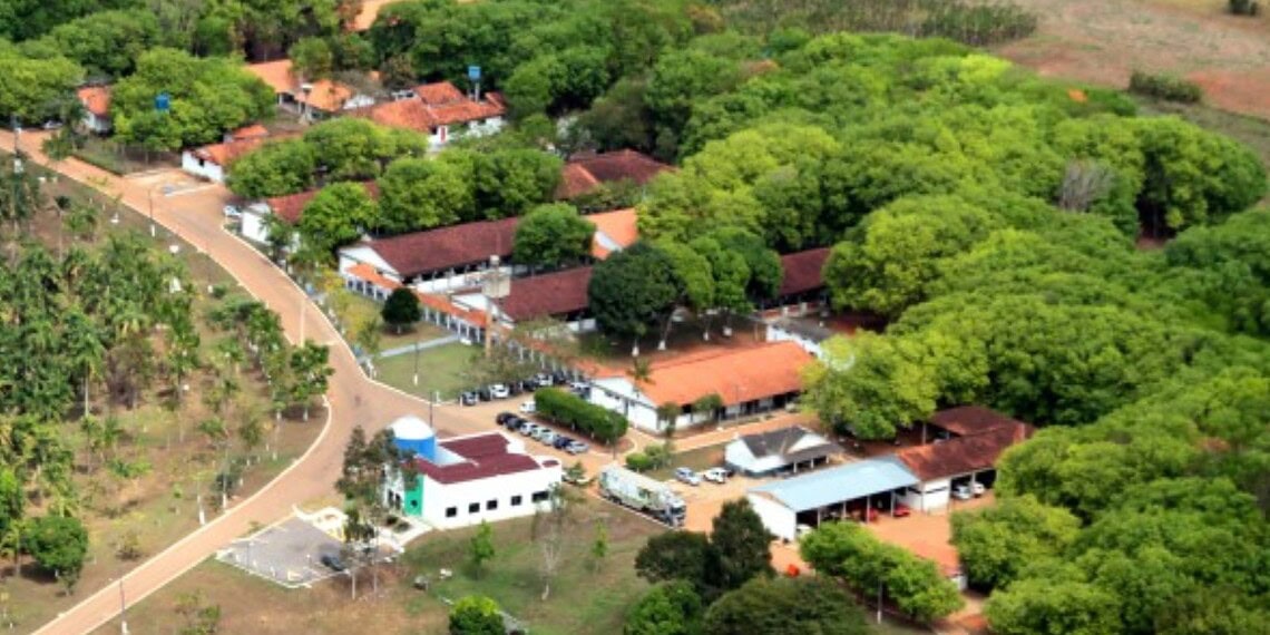 Foto: Portal Embrapa