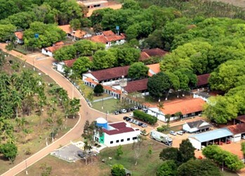 Foto: Portal Embrapa