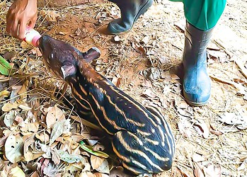 Foto: Arquivo/Prefeitura