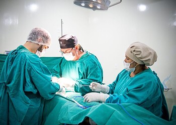 Foto: Izabelle Farias/Sesacre