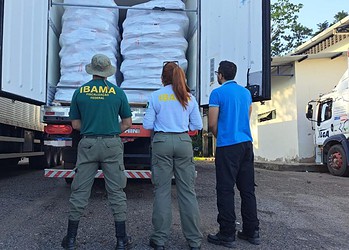 Foto: Divulgação/Ibama